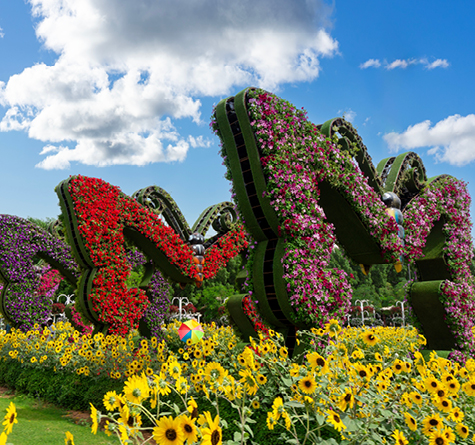 Dubai Miracle Garden, , medium